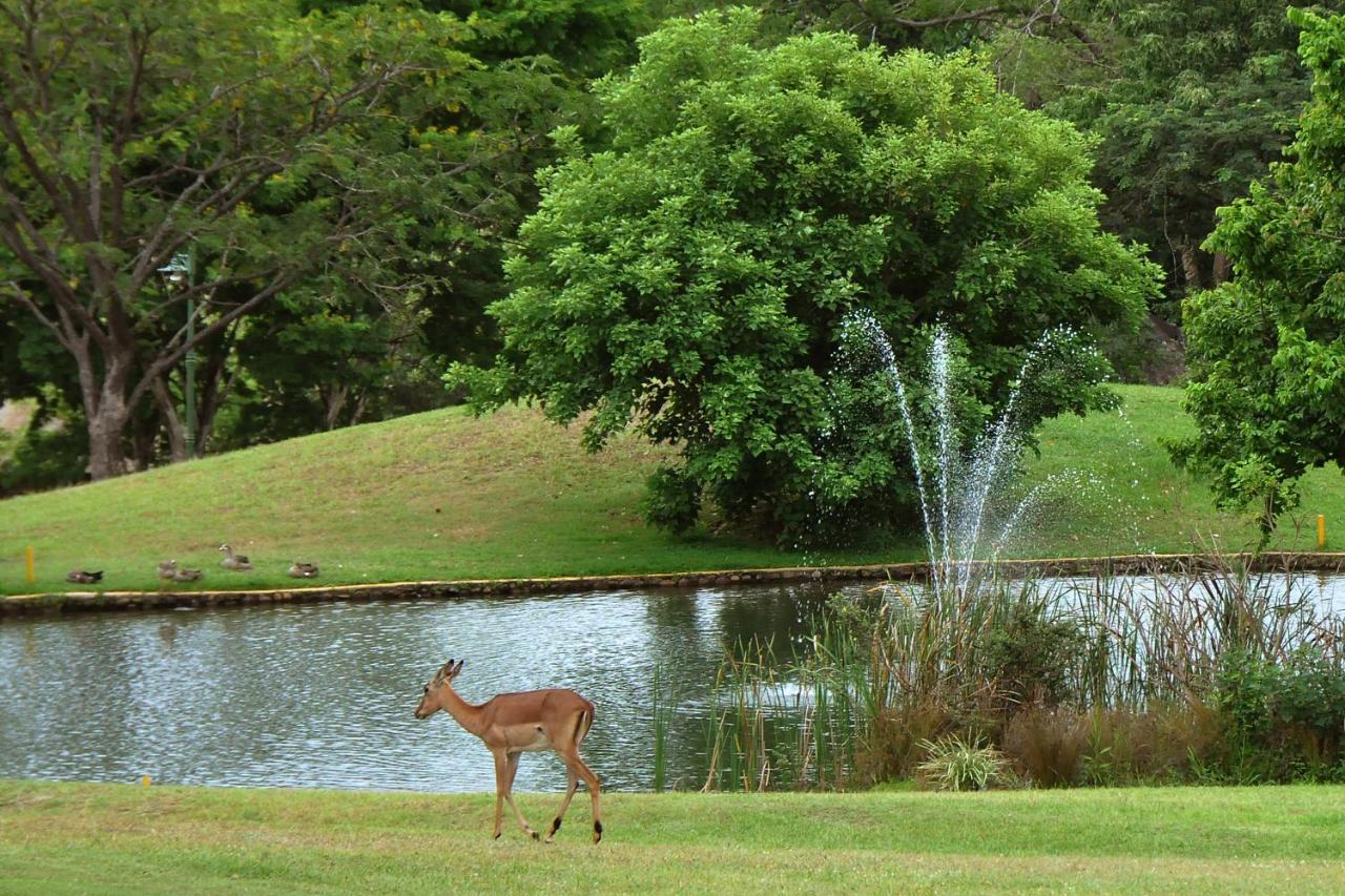 Kruger Park Lodge Unit No. 610B Hazyview Kültér fotó